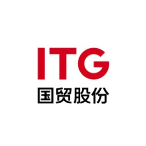 CÔNG TY TNHH ITG RESOURCES VIETNAM logo