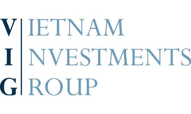 VIETNAM INVESTMENTS GROUP logo