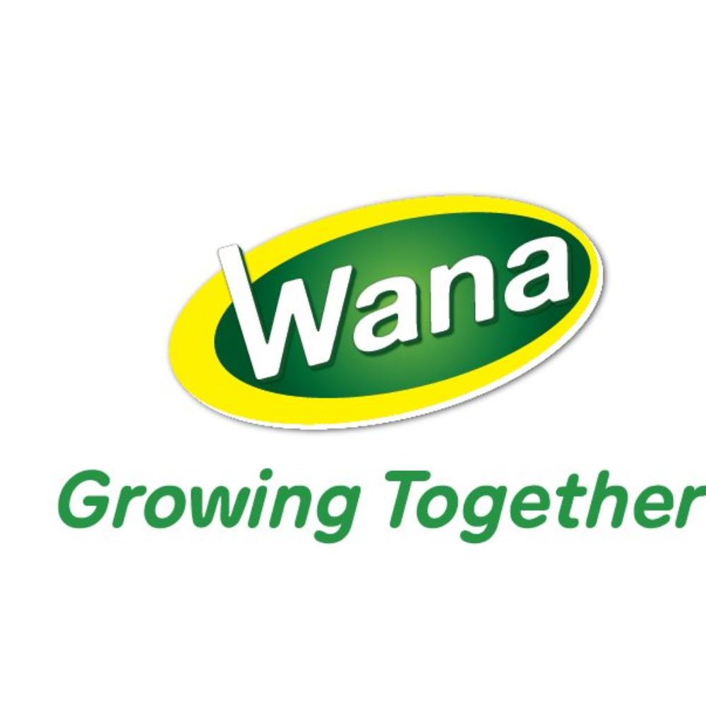 Công Ty CP Nước Giải Khát Wana logo