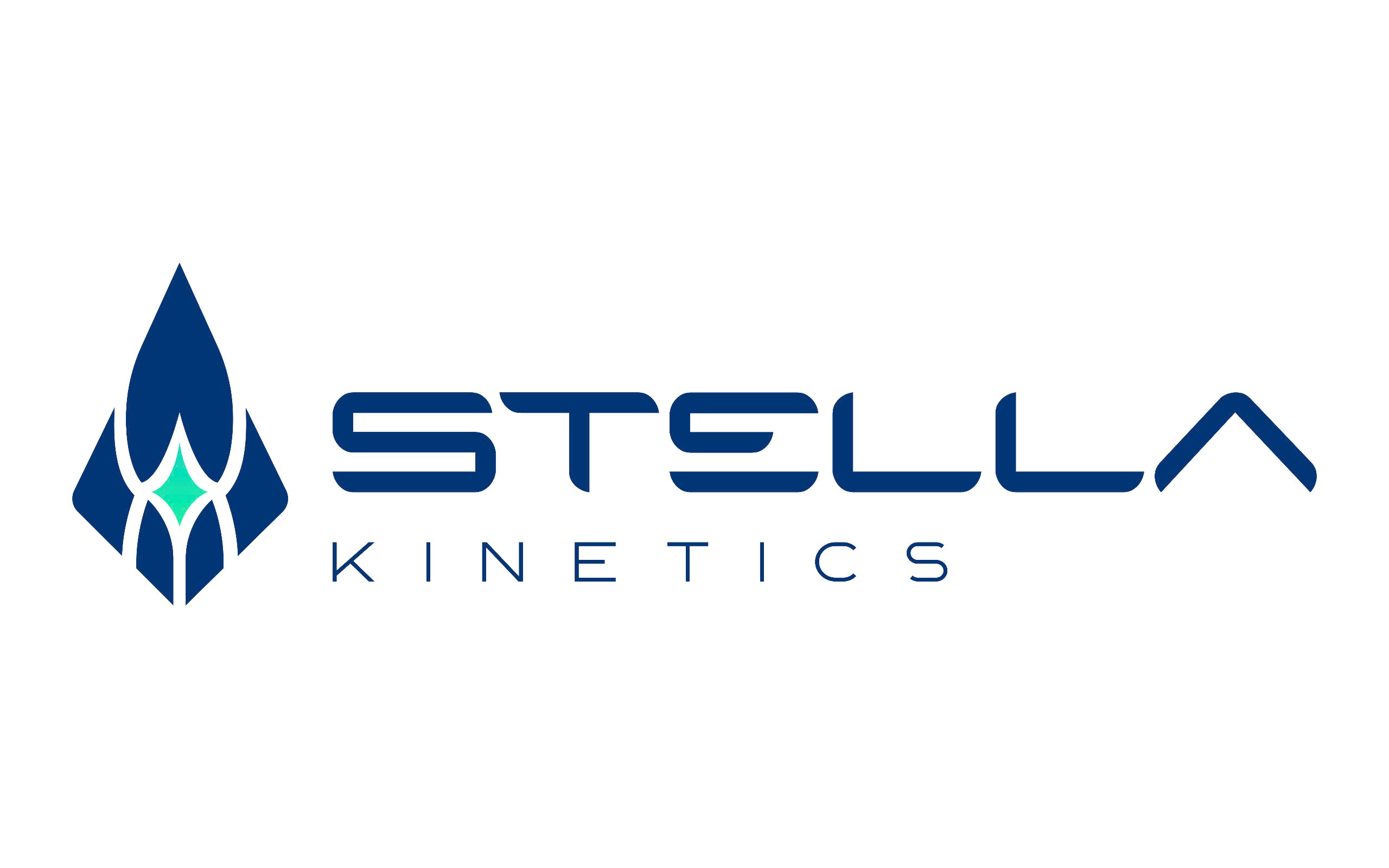 Công Ty TNHH Động Học Stella logo