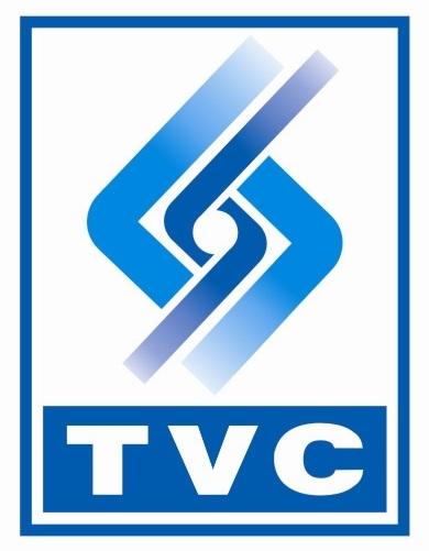 Công Ty TNHH TTCL Việt Nam logo